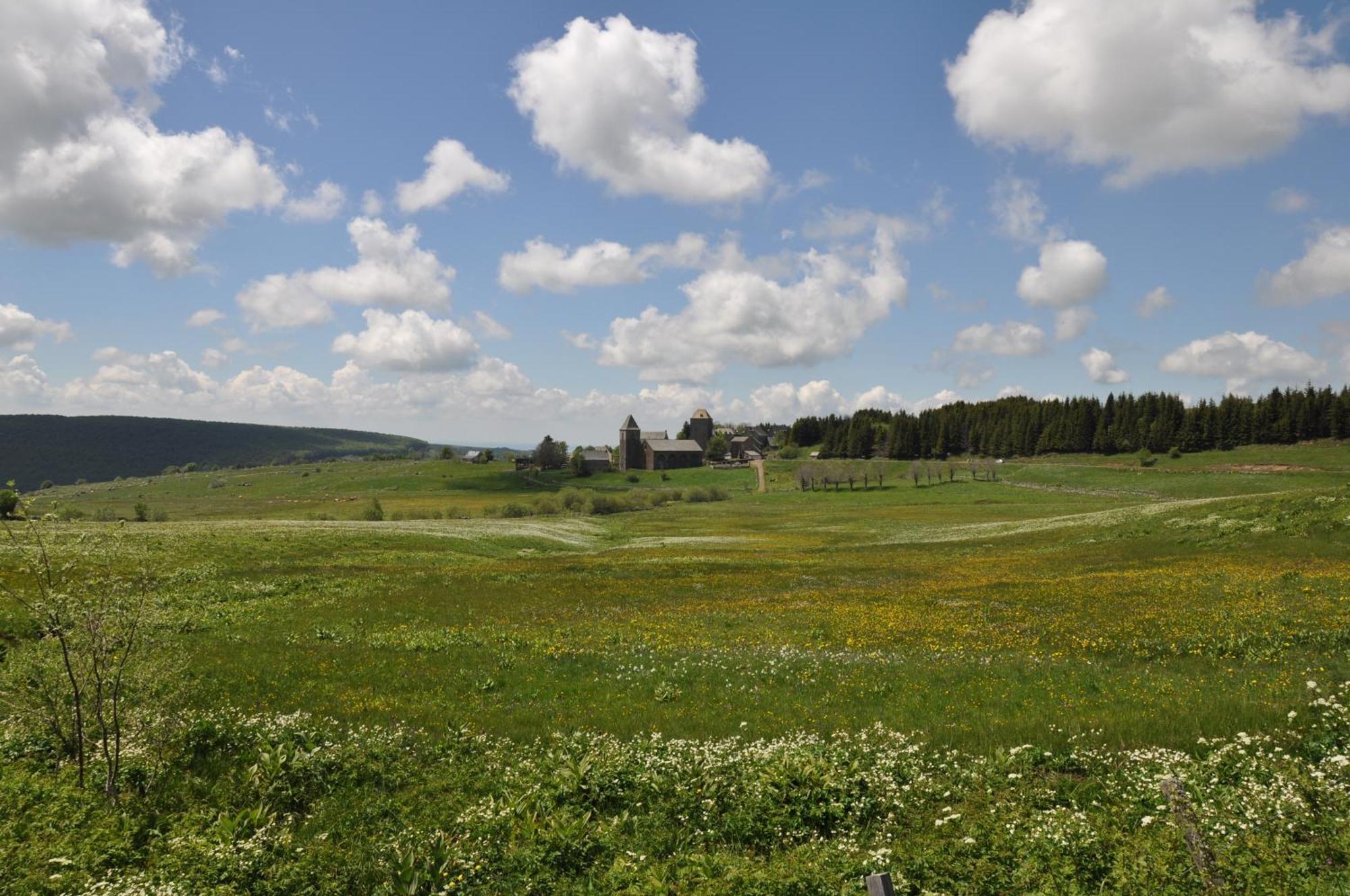 Chambres D'Hotes Le Lepadou-Bas Saint-Chély-dʼAubrac Zewnętrze zdjęcie